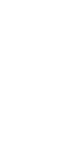 LOI Logo
